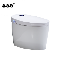 Best Option Best Price Luxury Intelligence Flush Toilet