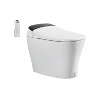 M89 Smart intelligence toilet with Five colors optional